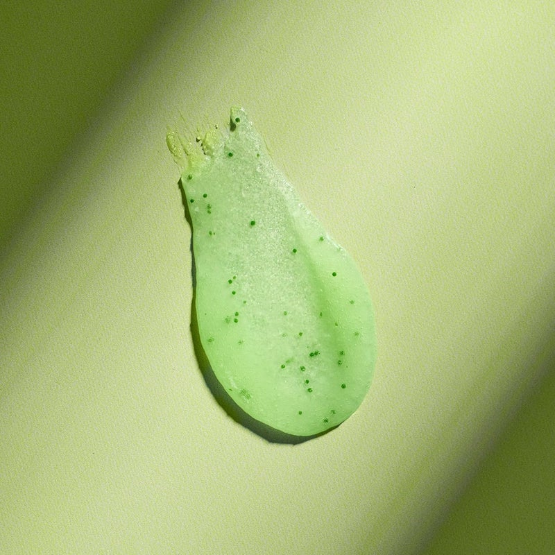 Treehut Palm Grove Shea Sugar Scrub, Exfoliating, Hydrating & Moisturizing Body Scrub with Shea Butter & Nourishing Essential Oils, Smooth & Soften Skin, 18 oz - Image 5